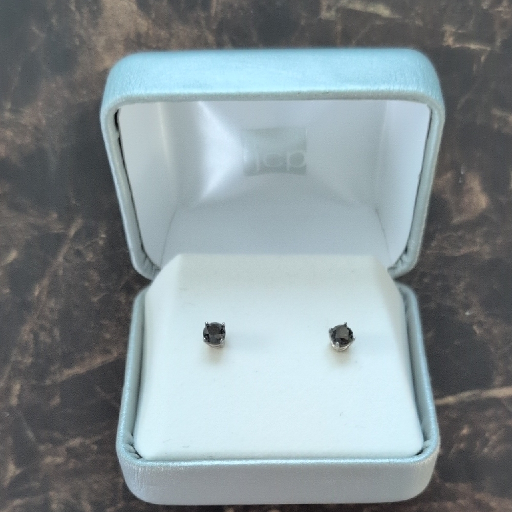 Elegant Black Stud Earrings